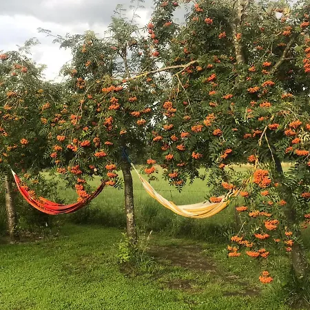 De Olde Veld Hoeve Alojamento de Acomodação e Pequeno-almoço