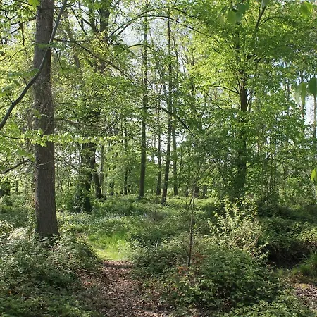 De Olde Veld Hoeve * Hengelo (Gelderland)