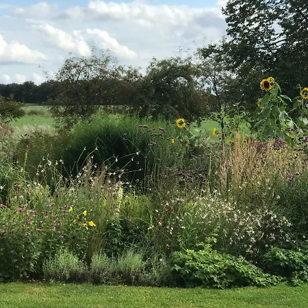 De Olde Veld Hoeve Bed & Breakfast *