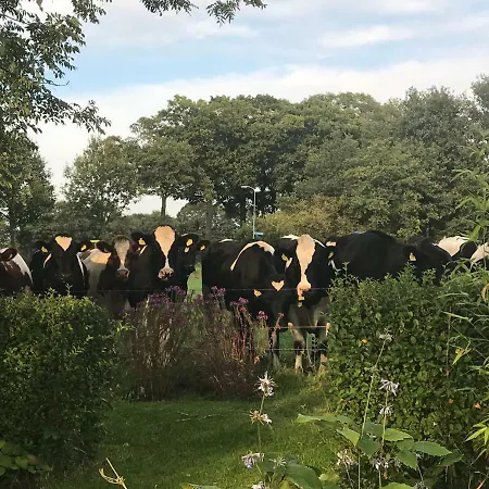 Bed & Breakfast De Olde Veld Hoeve Hengelo (Gelderland)