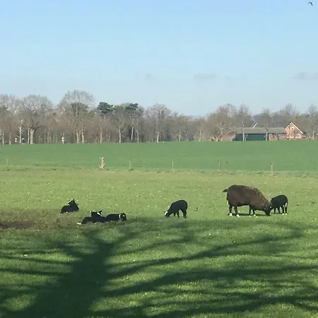 De Olde Veld Hoeve Bed & Breakfast *